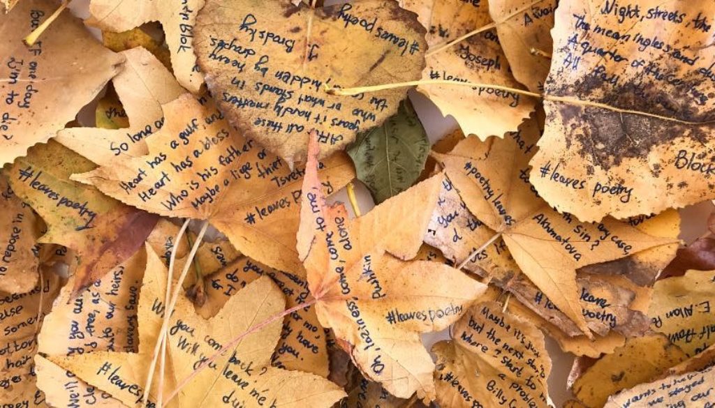 L'alternativa alla carta - poesie scritte sulle foglie